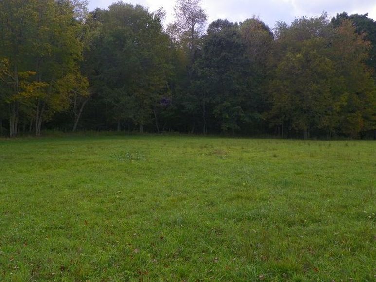 Image for ABSOLUTE TRUSTEE AUCTION