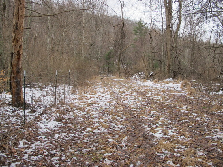 Image for ABSOLUTE TRUSTEE AUCTION