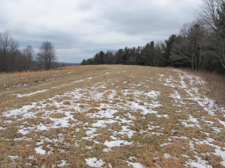 Image for ABSOLUTE TRUSTEE AUCTION