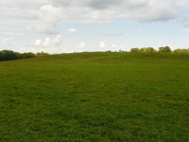 Image for ABSOLUTE TRUSTEE AUCTION