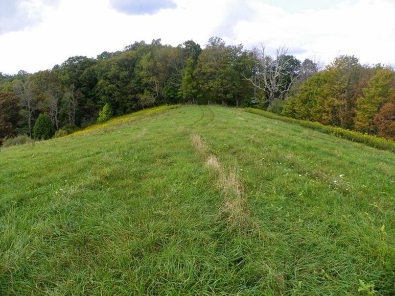 Image for ABSOLUTE TRUSTEE AUCTION