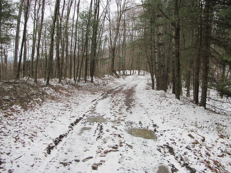 Image for ABSOLUTE TRUSTEE AUCTION