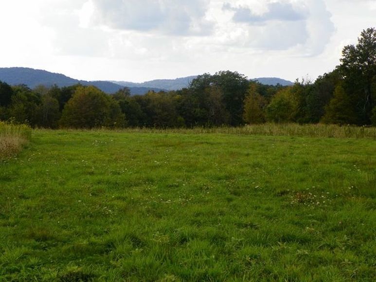 Image for ABSOLUTE TRUSTEE AUCTION