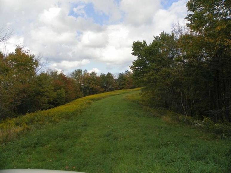 Image for ABSOLUTE TRUSTEE AUCTION