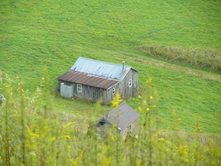 Image for ABSOLUTE TRUSTEE AUCTION