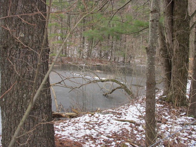 Image for ABSOLUTE TRUSTEE AUCTION