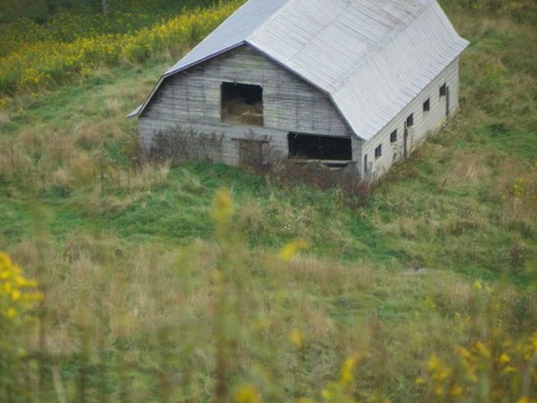 Image for ABSOLUTE TRUSTEE AUCTION