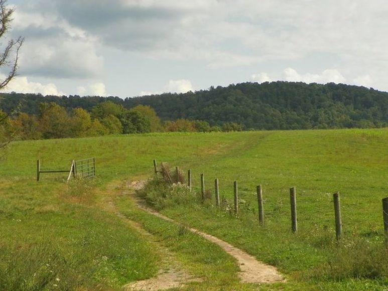 Image for ABSOLUTE TRUSTEE AUCTION