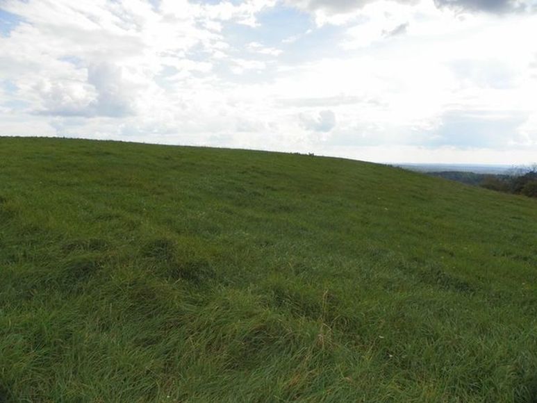 Image for ABSOLUTE TRUSTEE AUCTION