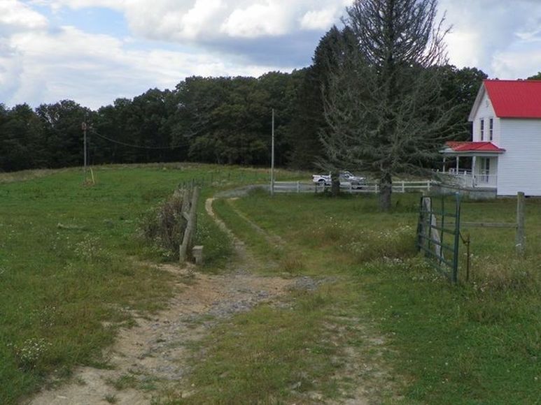 Image for ABSOLUTE TRUSTEE AUCTION