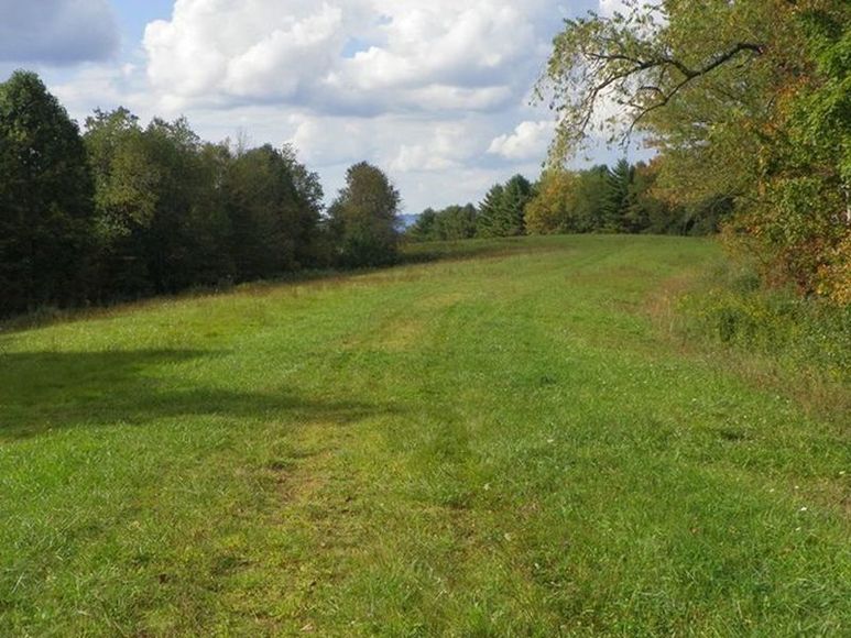 Image for ABSOLUTE TRUSTEE AUCTION