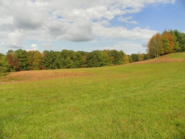 Image for ABSOLUTE TRUSTEE AUCTION