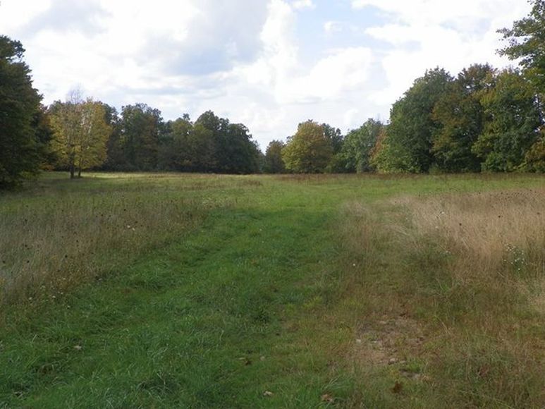 Image for ABSOLUTE TRUSTEE AUCTION