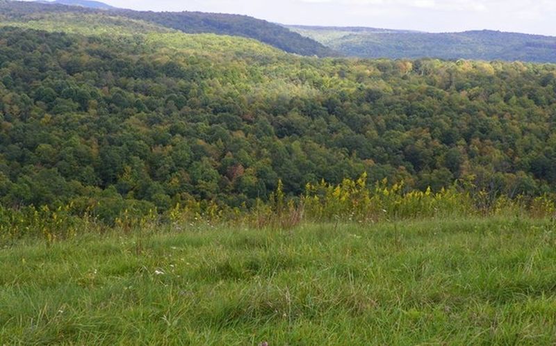 Image for ABSOLUTE TRUSTEE AUCTION