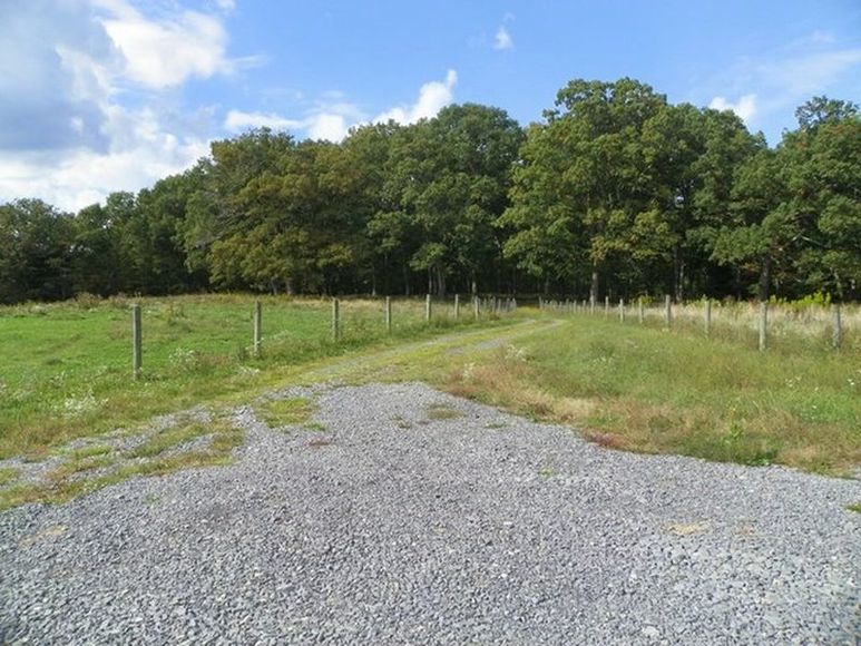 Image for ABSOLUTE TRUSTEE AUCTION