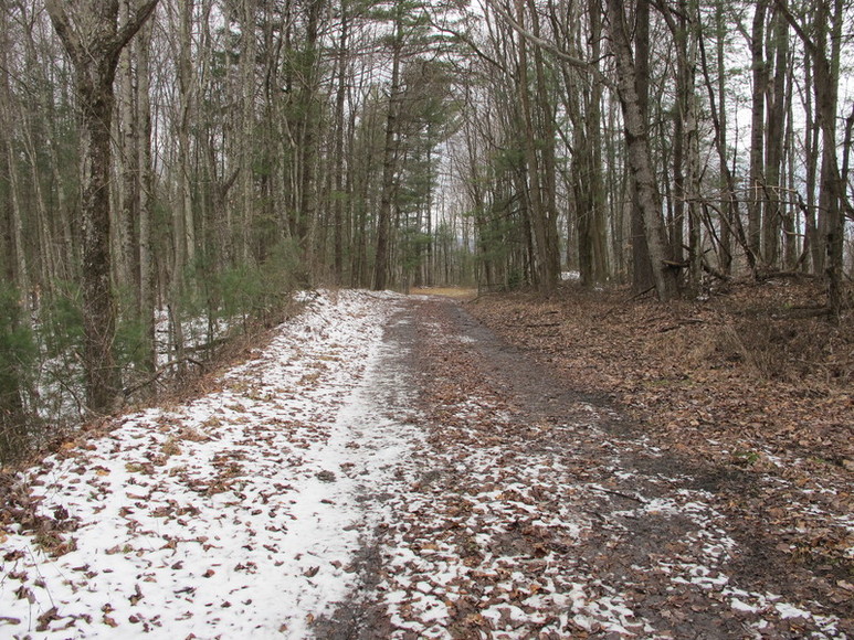 Image for ABSOLUTE TRUSTEE AUCTION