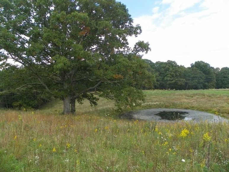 Image for ABSOLUTE TRUSTEE AUCTION