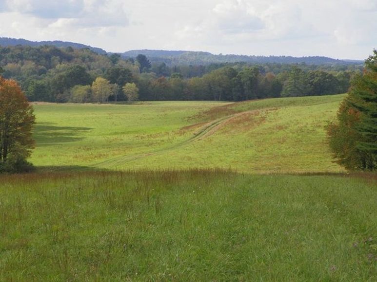 Image for ABSOLUTE TRUSTEE AUCTION