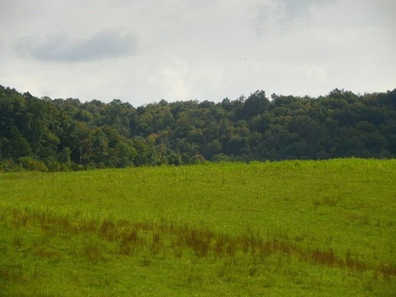 Image for ABSOLUTE TRUSTEE AUCTION