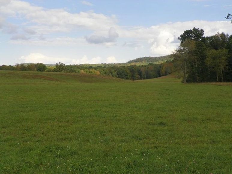 Image for ABSOLUTE TRUSTEE AUCTION