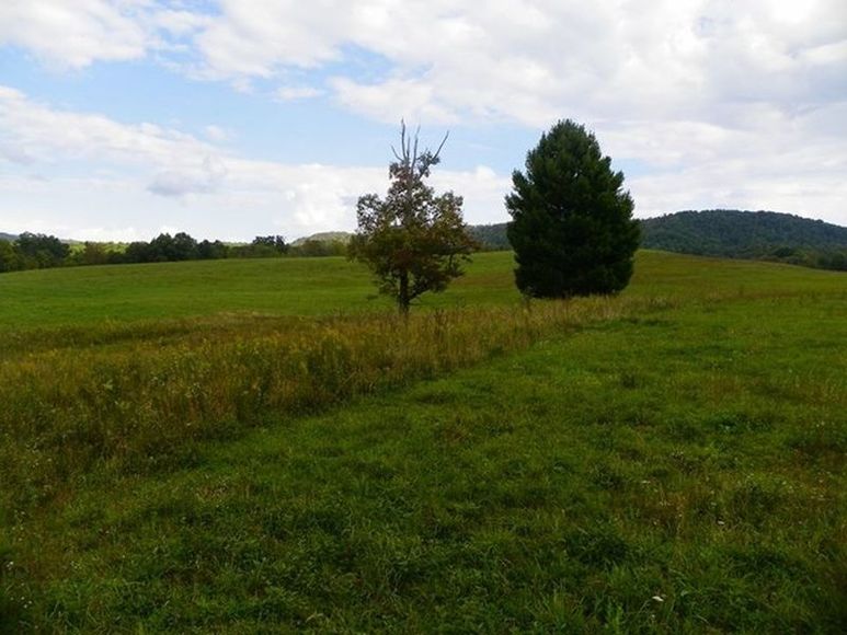 Image for ABSOLUTE TRUSTEE AUCTION