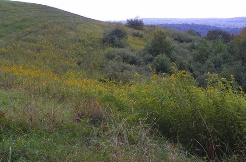 Image for ABSOLUTE TRUSTEE AUCTION