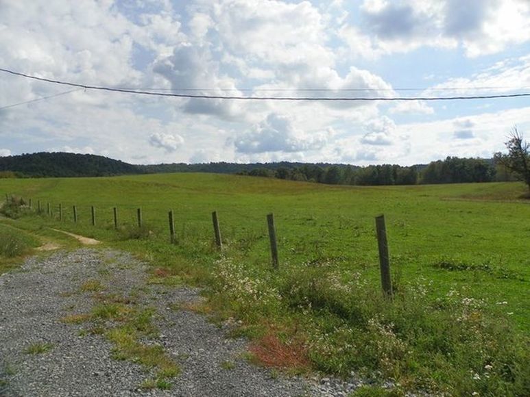 Image for ABSOLUTE TRUSTEE AUCTION