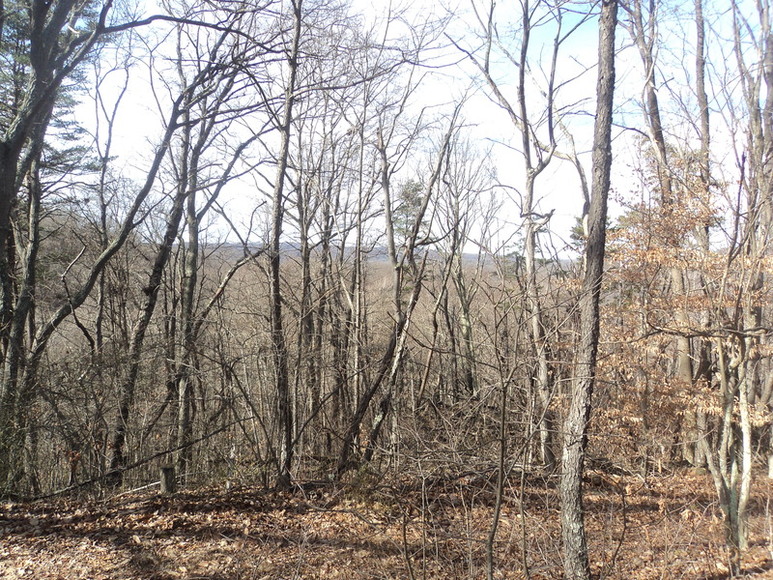 Image for ABSOLUTE LAND AUCTION