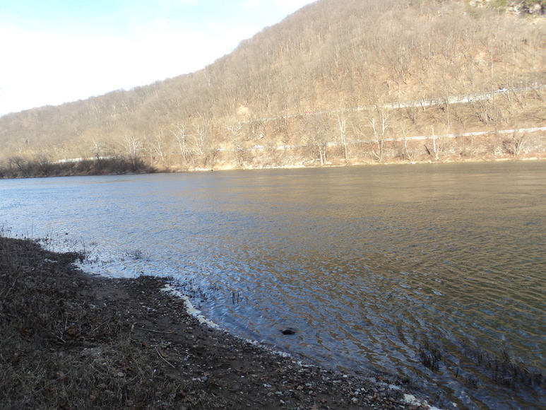 Image for ABSOLUTE LAND AUCTION