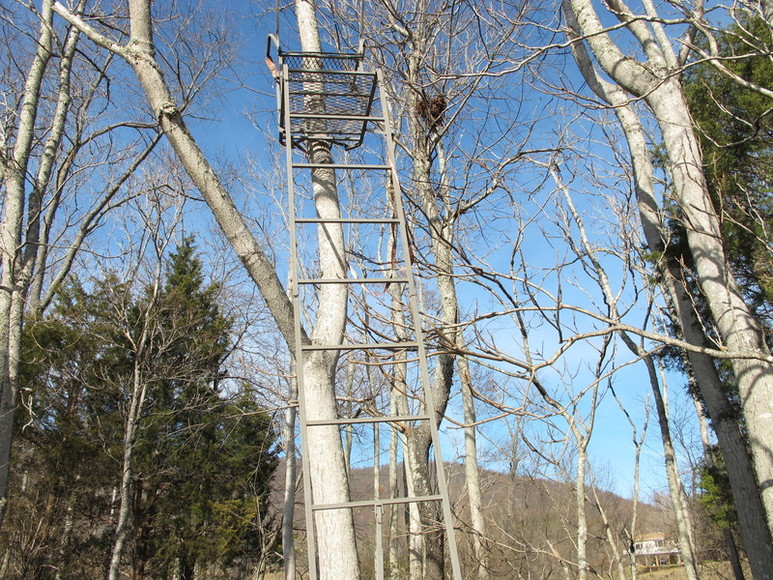 Image for ABSOLUTE AUCTION : PERSONAL & HOUSEHOLD PROPERTY