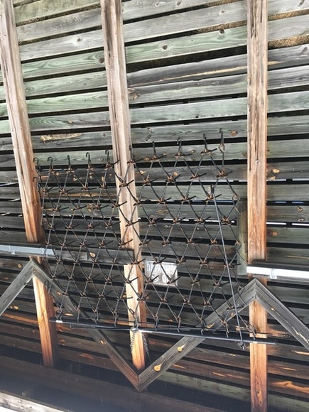 Image for COMPLETE LIQUIDATION AUCTION