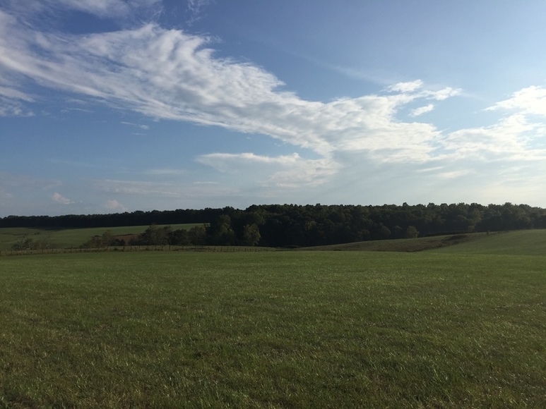 Image for Absolute Auction: 191+/- Acres Smith Mountain Lake Parkway