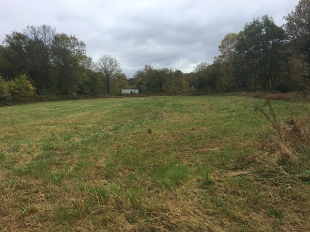 Image for ABSOLUTE ESTATE AUCTION