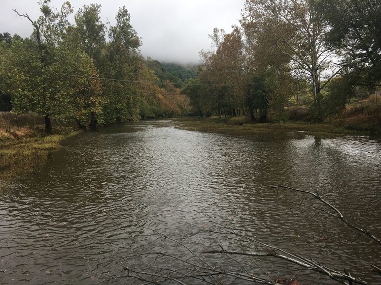 Image for ABSOLUTE ESTATE AUCTION