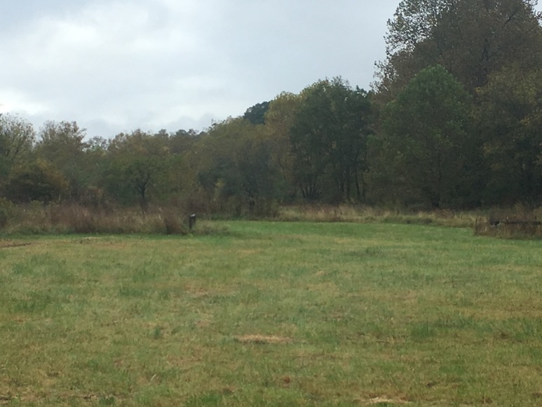 Image for ABSOLUTE ESTATE AUCTION