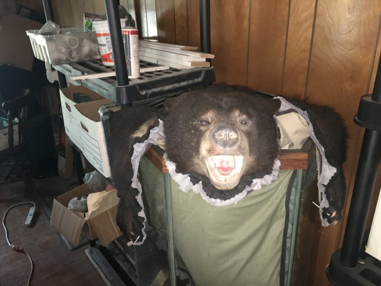 Image for ABSOLUTE ESTATE AUCTION