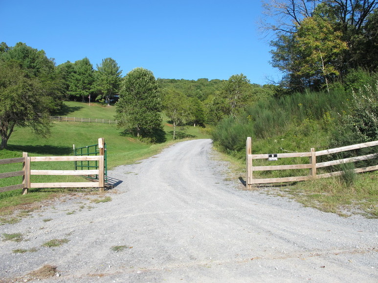 Image for ABSOLUTE AUCTION : 294 ACRES IN FOREST VA