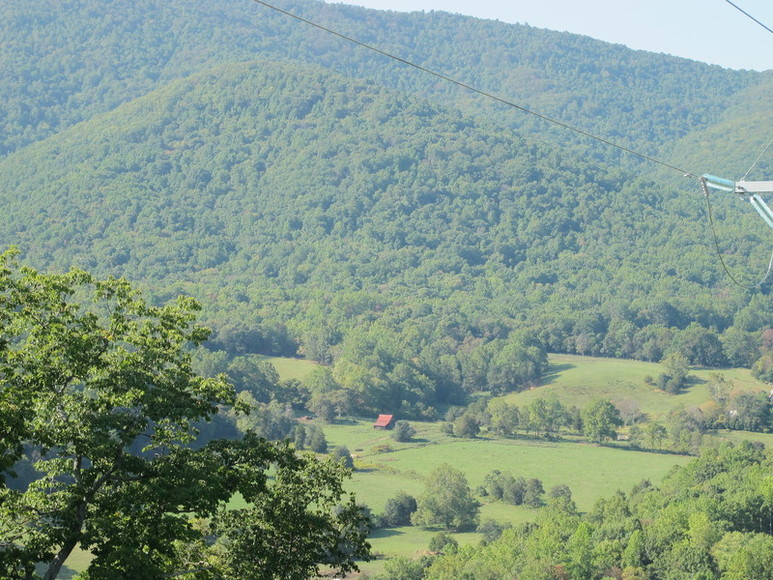 Image for ABSOLUTE AUCTION : 294 ACRES IN FOREST VA