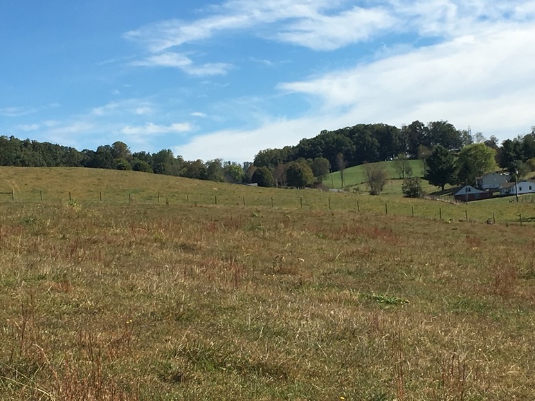 Image for ABSOLTUE 142 (+/-) Acres, House, Barns, & Shop in 18 Tracts