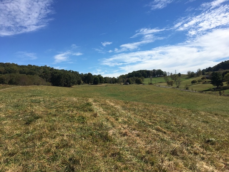 Image for ABSOLTUE 142 (+/-) Acres, House, Barns, & Shop in 18 Tracts