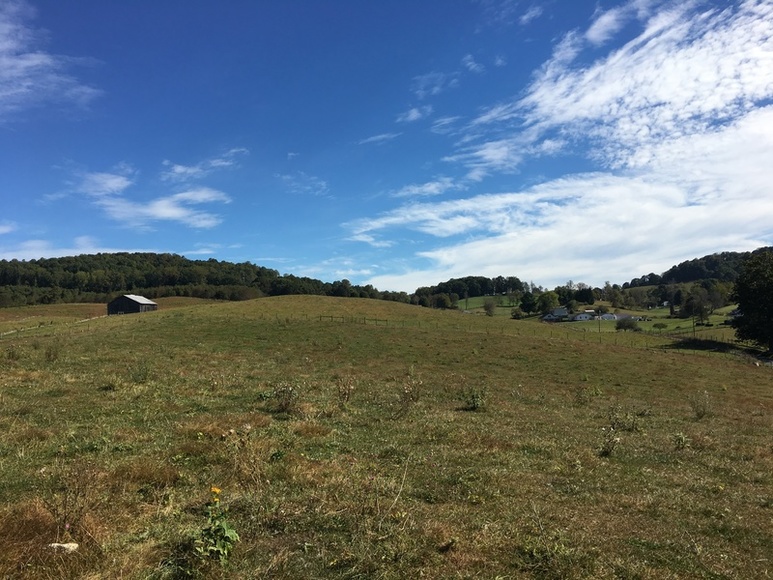 Image for ABSOLTUE 142 (+/-) Acres, House, Barns, & Shop in 18 Tracts