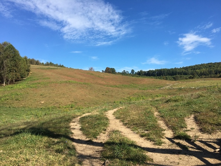 Image for ABSOLTUE 142 (+/-) Acres, House, Barns, & Shop in 18 Tracts