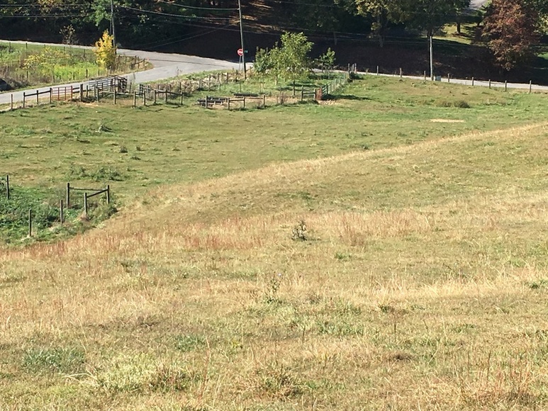 Image for ABSOLTUE 142 (+/-) Acres, House, Barns, & Shop in 18 Tracts