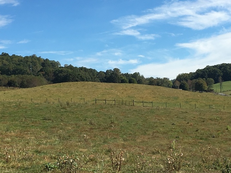 Image for ABSOLTUE 142 (+/-) Acres, House, Barns, & Shop in 18 Tracts