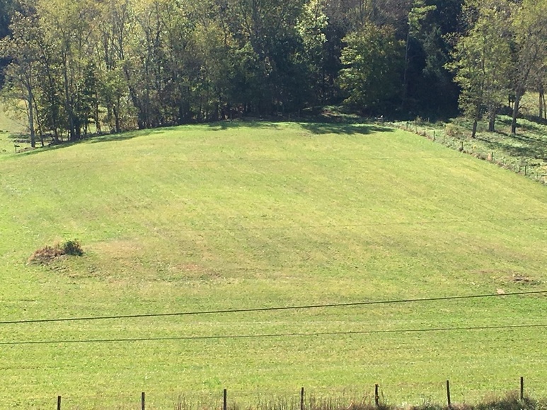 Image for ABSOLTUE 142 (+/-) Acres, House, Barns, & Shop in 18 Tracts