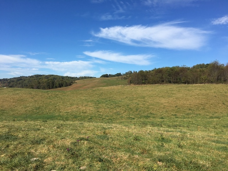 Image for ABSOLTUE 142 (+/-) Acres, House, Barns, & Shop in 18 Tracts