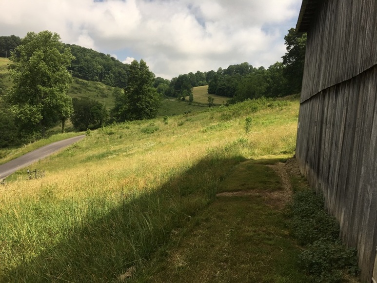 Image for Brick Ranch House & 10 Acres (±)