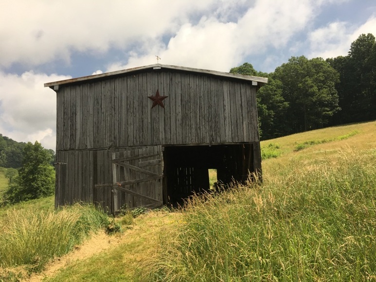 Image for Brick Ranch House & 10 Acres (±)