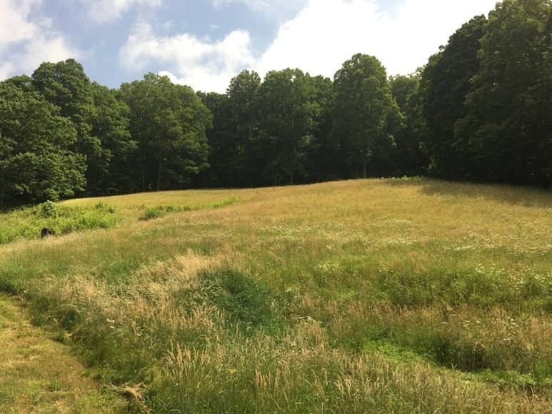 Image for Brick Ranch House & 10 Acres (±)