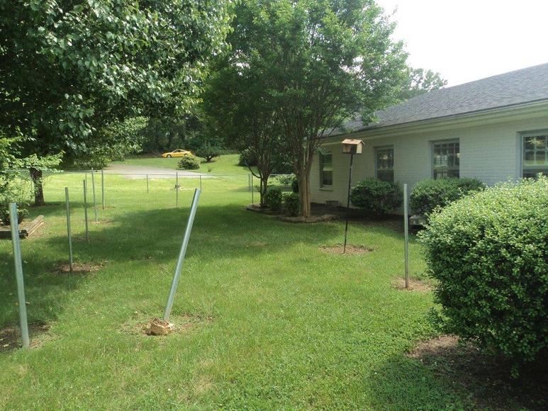 Image for Dolan Absolute Auction